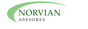 norvianasesores.com